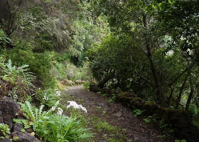 Restinga Lägenhet La Restinga