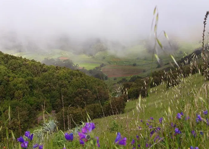 Lägenhet Restinga *